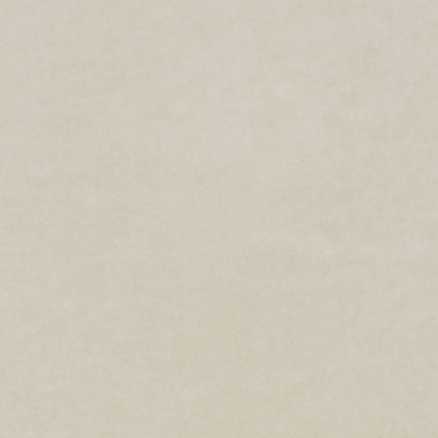 Pale ivory-beige fabric with a softly cloudy, finely textured surface