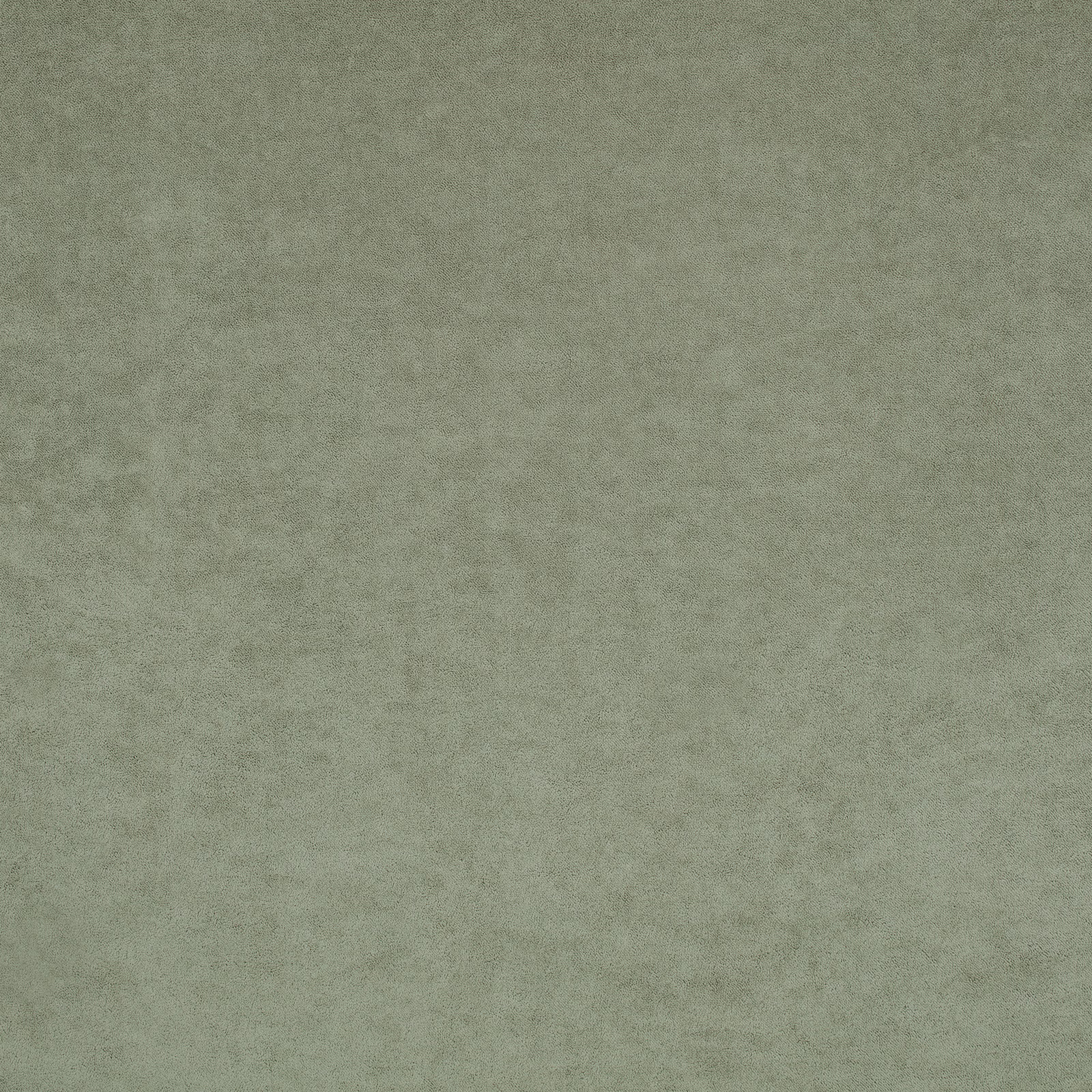 Muted fennel green textile with a soft cloudy surface and subtle tonal variation