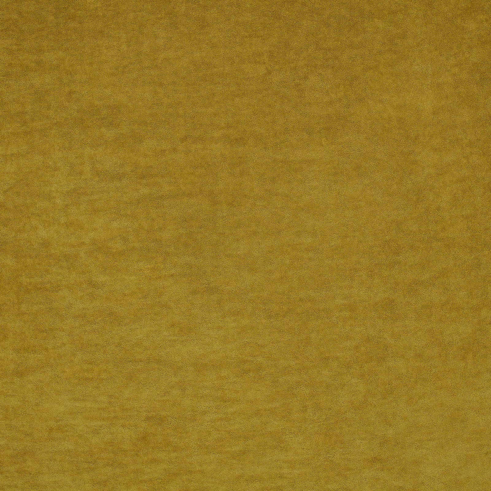 Close-up of warm mustard fabric with a soft, finely mottled pile