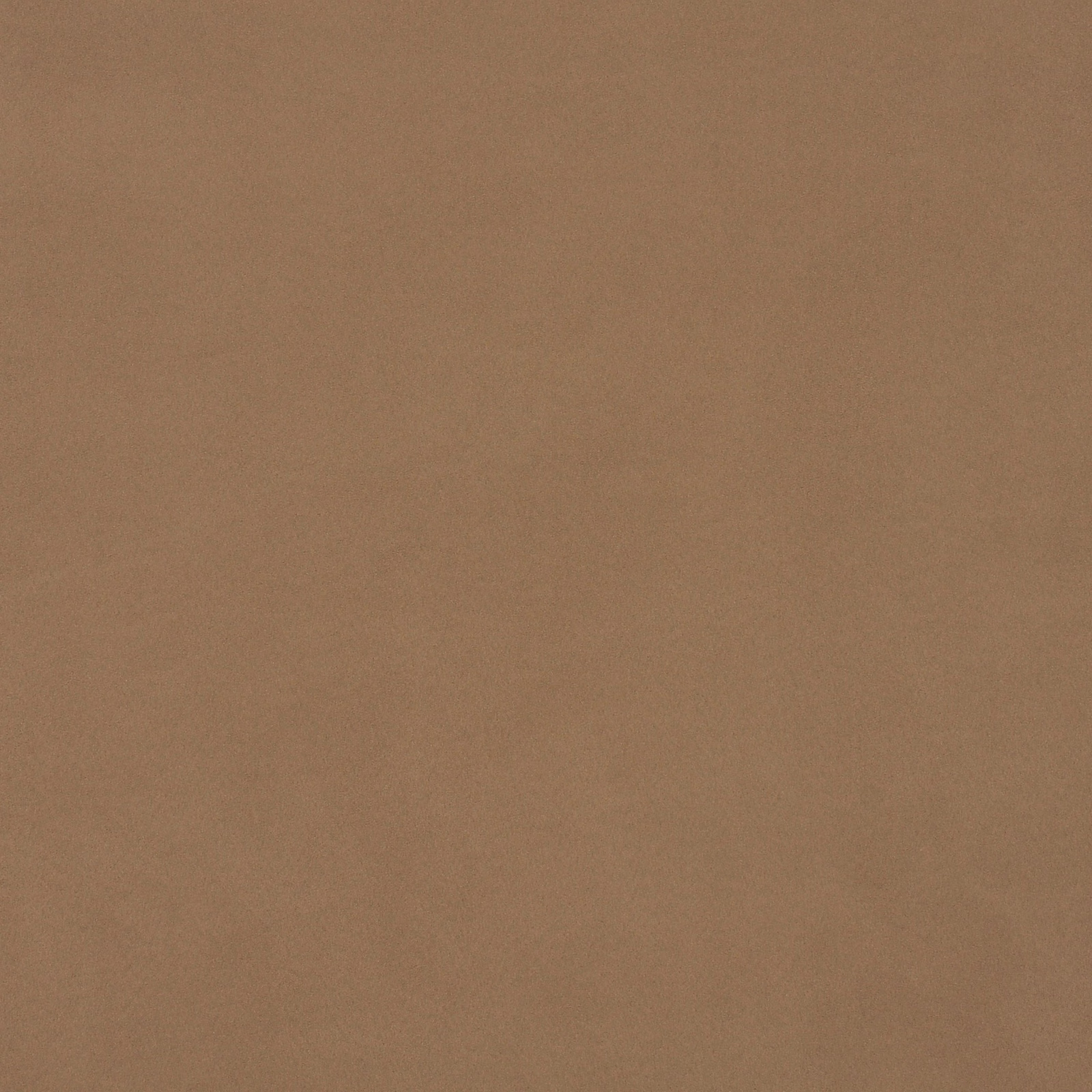 Close-up of warm sandy taupe Dakota Suede with a soft brushed surface