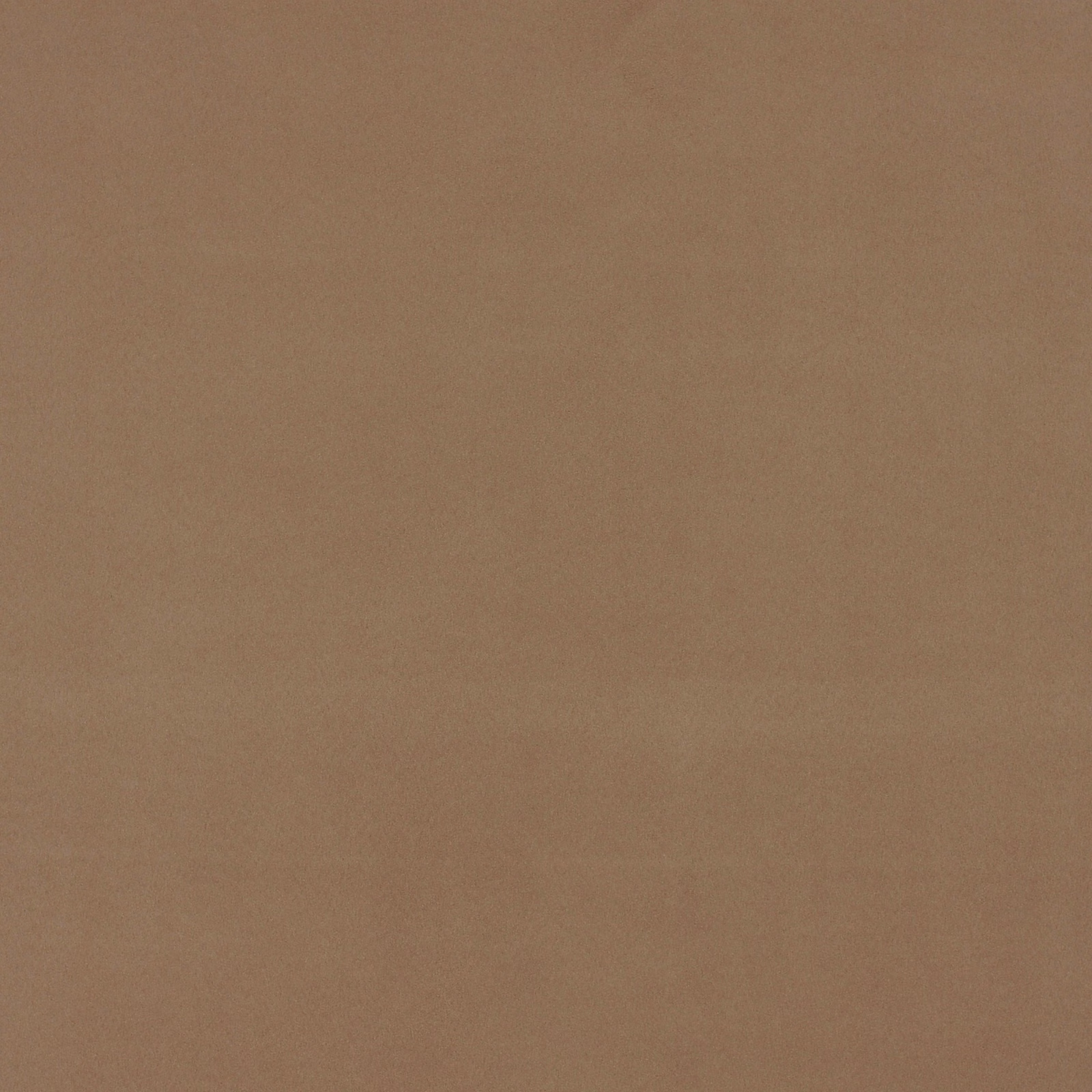 Close-up of warm taupe-brown Dakota Suede with a softly brushed, plain surface.