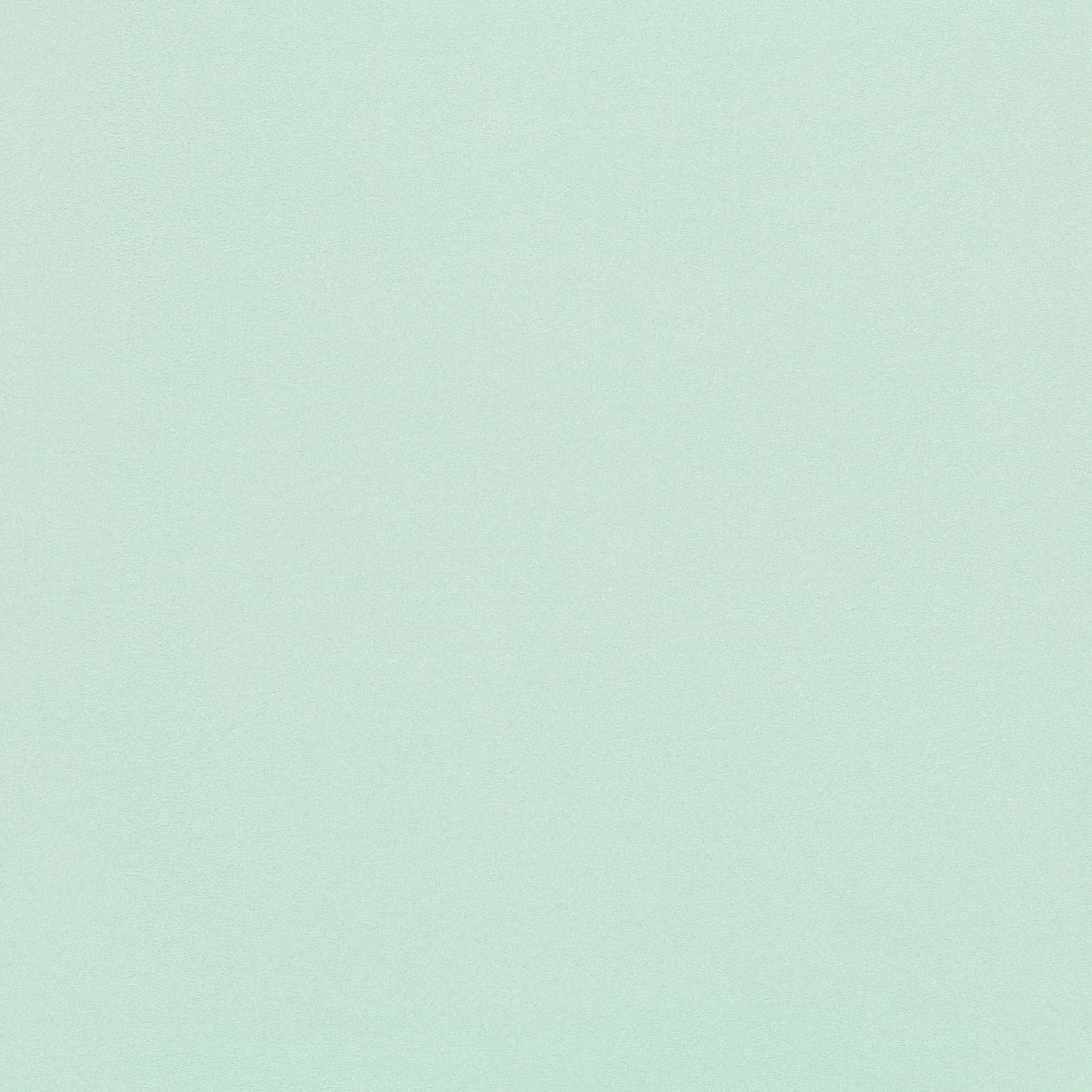 Plain pale mint green fabric with a soft brushed suede-like surface