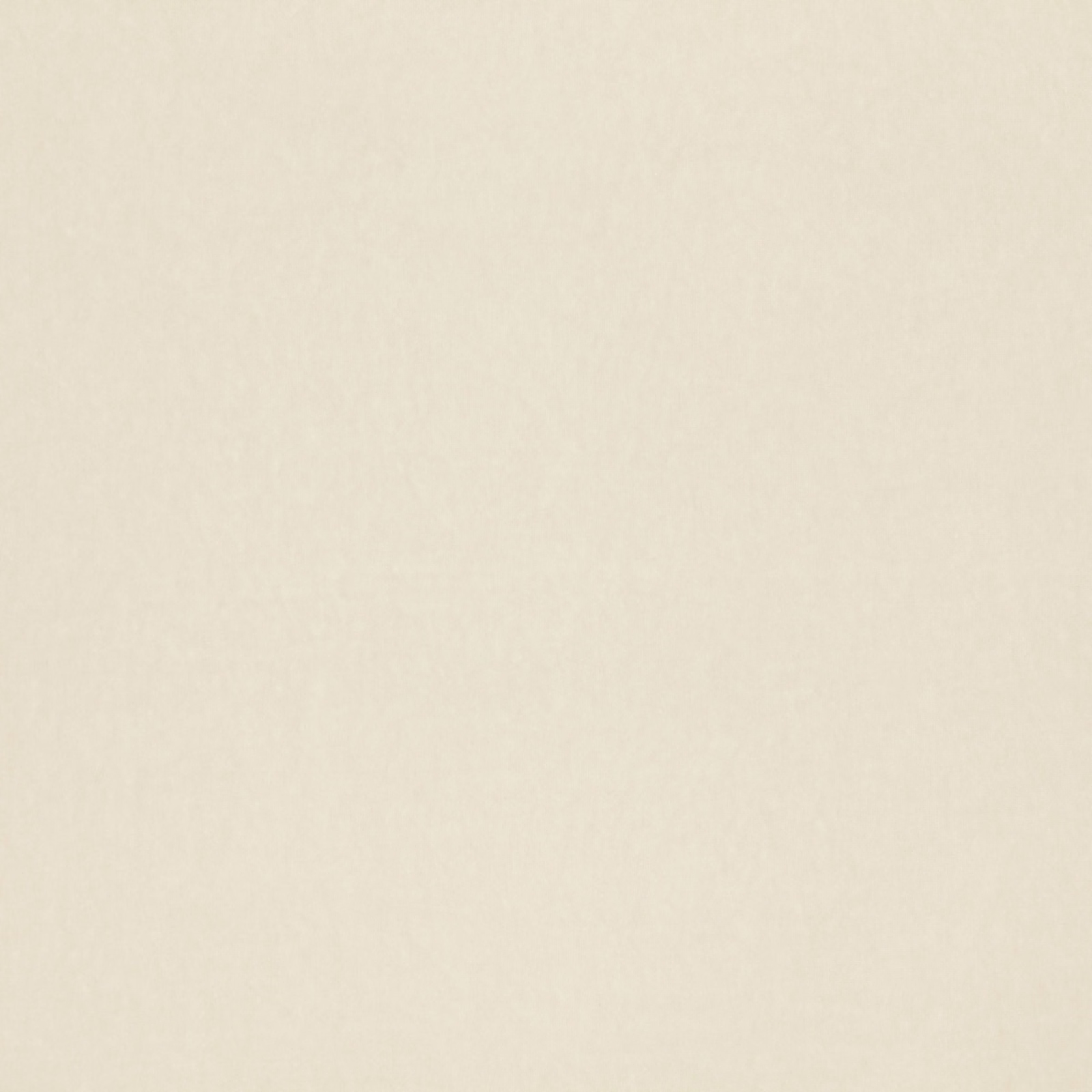 Pale warm ivory Faze Chalk fabric with a subtle dry woven texture