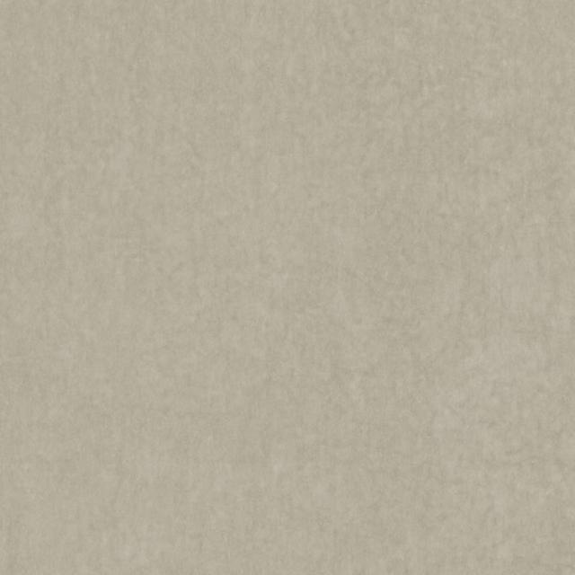 Pale eggshell beige fabric with softly mottled, fine-grained surface texture