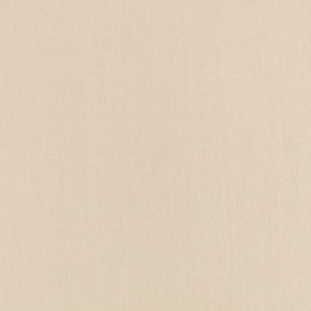 Pale warm beige Flax Beech fabric showing a fine, subtly irregular woven texture