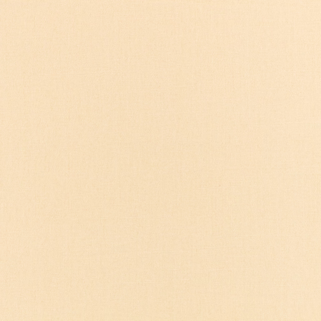 Pale butter-cream Flax fabric showing a fine, softly irregular woven texture