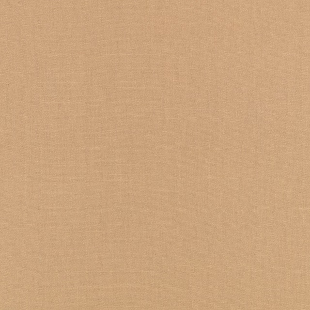 Warm desert-beige plain weave showing a fine, subtly varied textile texture