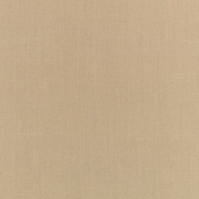 Muted pistachio-beige plain weave with a softly textured flax surface