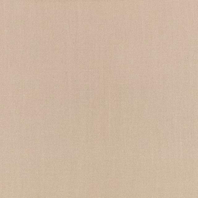Close-up of pale silver-grey plain weave with a softly textured surface