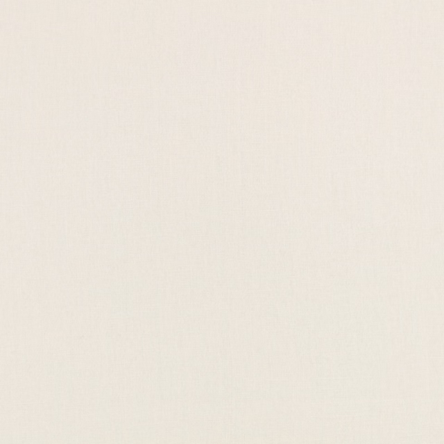 Pale flax white fabric with a fine, softly irregular woven surface