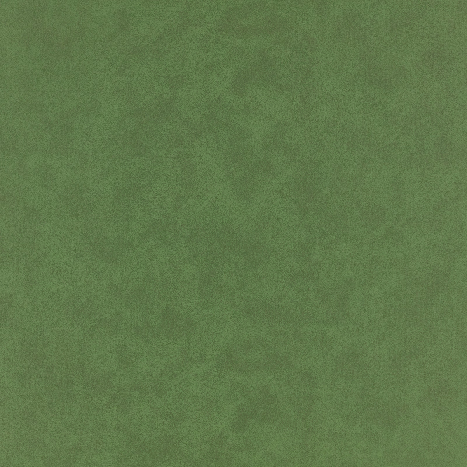 Clouded asparagus-green fabric surface with soft mossy tonal variation