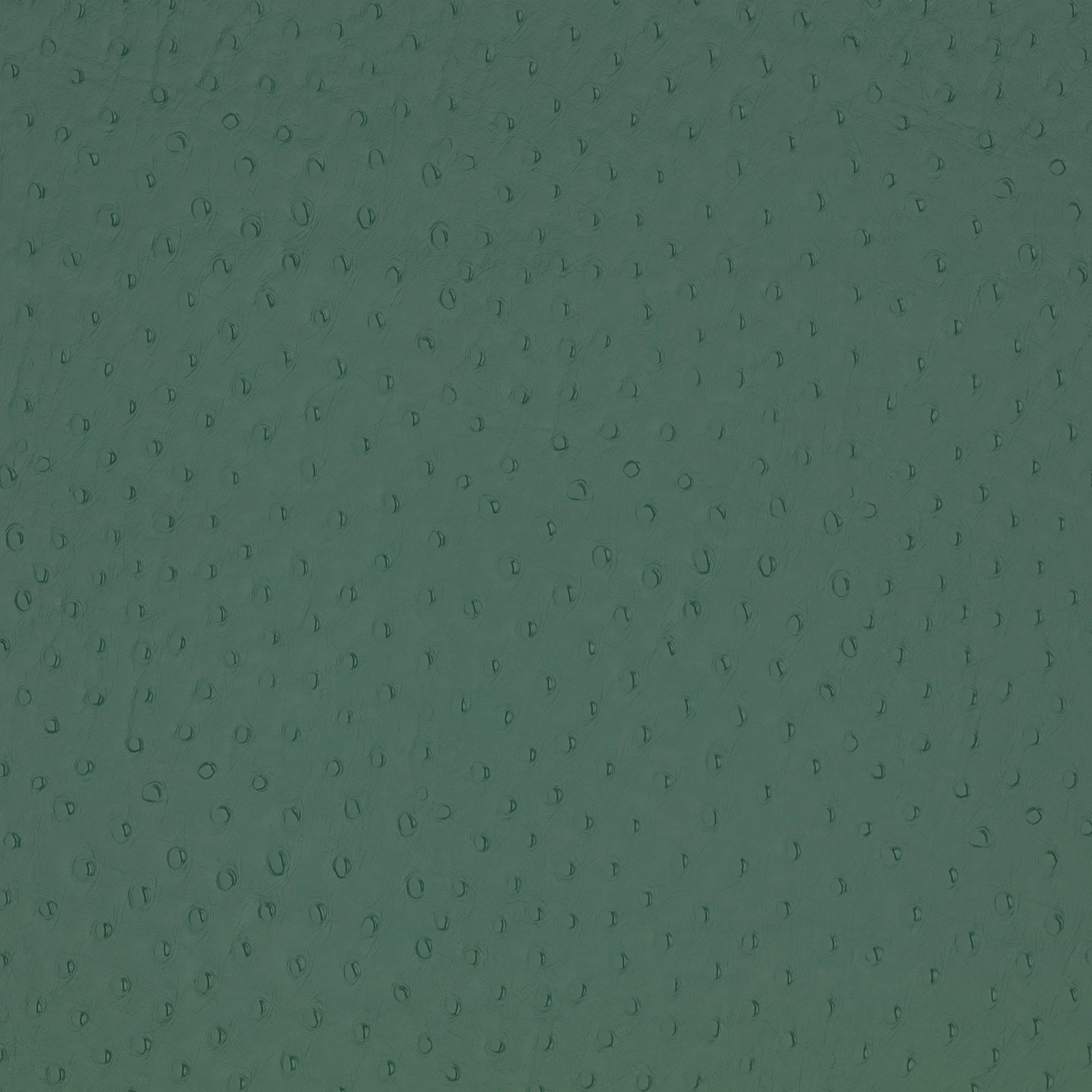 Deep pine-green fabric with tiny irregular raised marks and a softly mottled surface