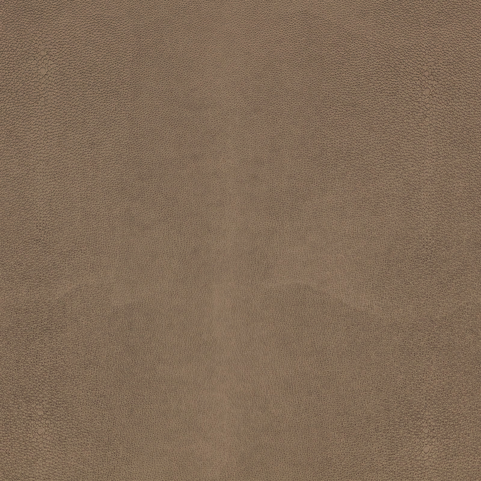 Muted taupe-brown shagreen texture with fine pebbling and soft tonal variation
