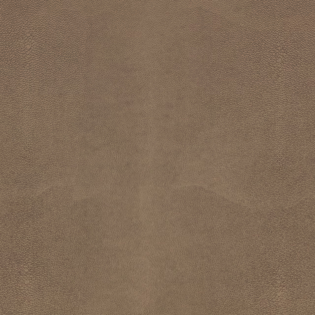 Muted taupe-brown shagreen texture with fine pebbling and soft tonal variation