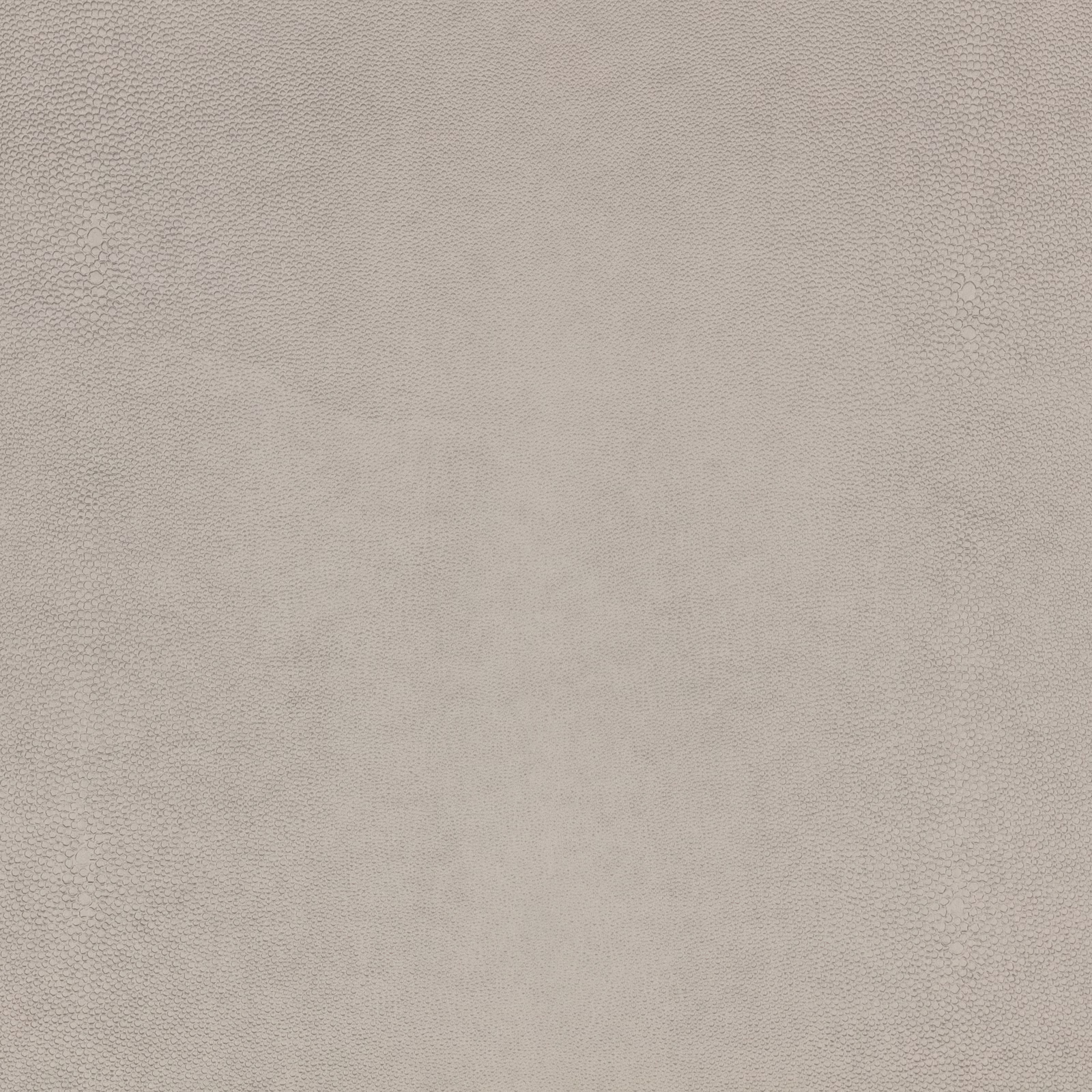 Pale stone-grey fabric with a fine, softly pebbled shagreen texture