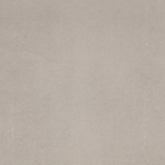 Pale stone-grey fabric with a fine, softly pebbled shagreen texture