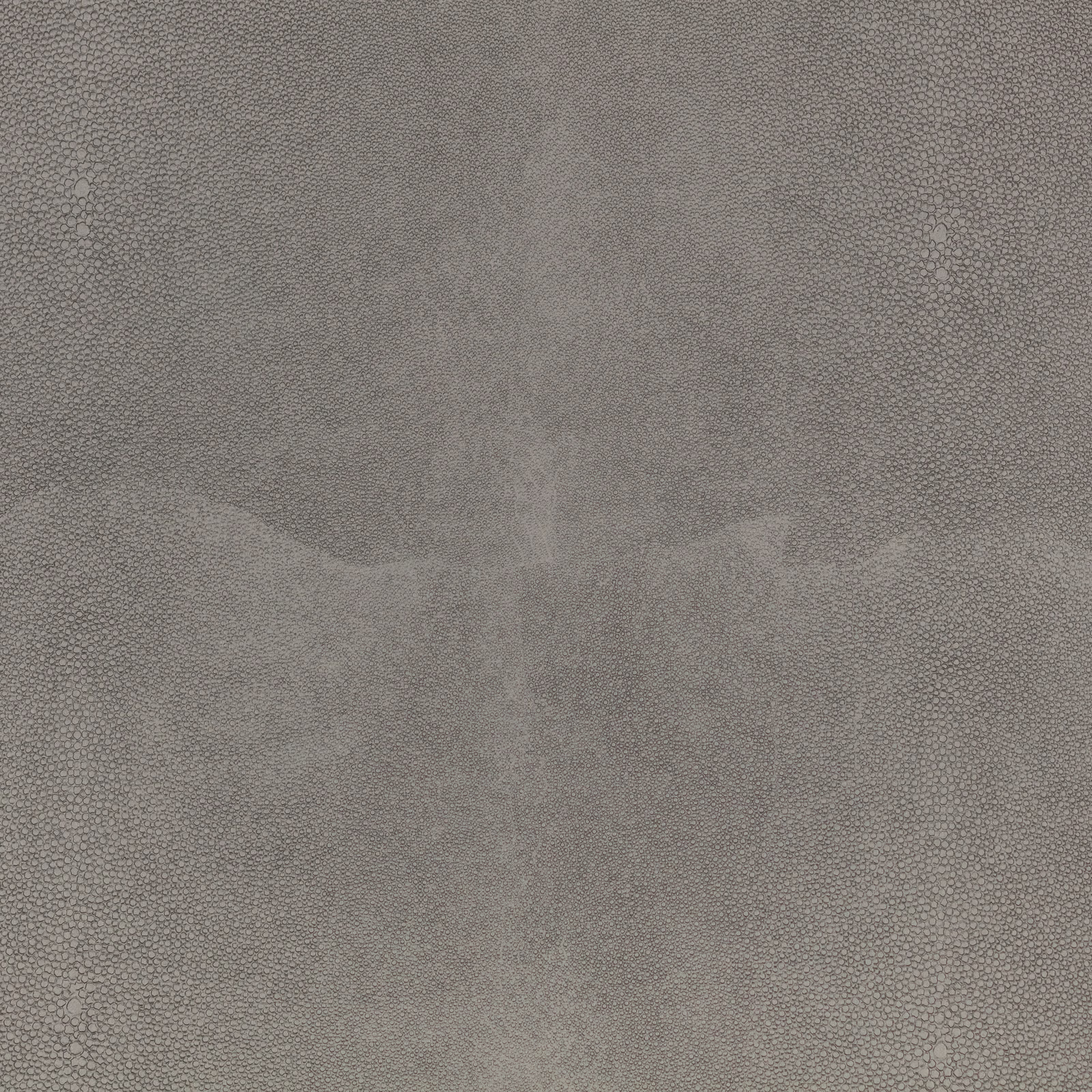 Cool stone-grey shagreen texture with softly mottled, low-contrast tonal patches