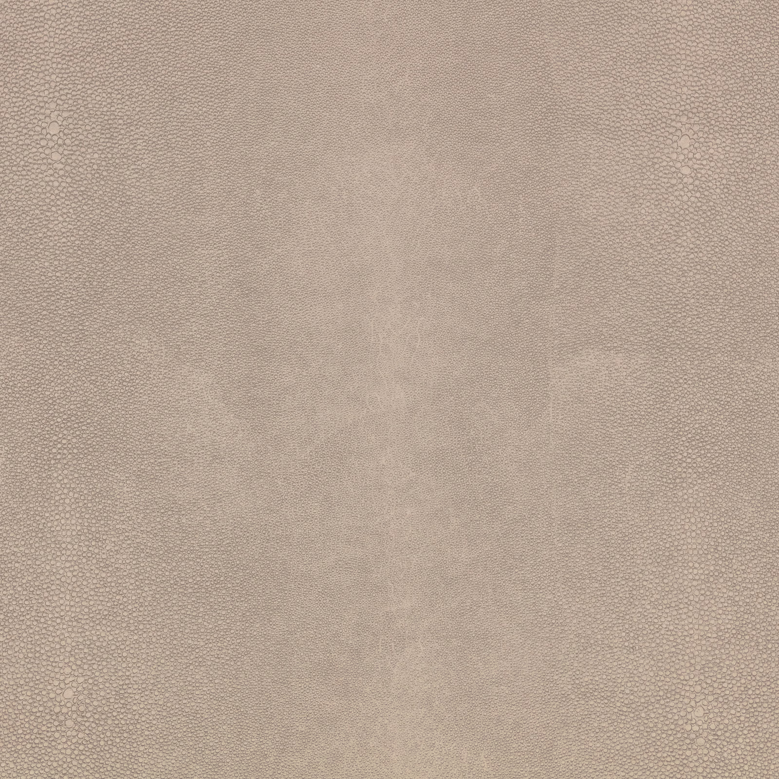 Muted taupe shagreen texture with fine pebble-like cells and softly mottled shading