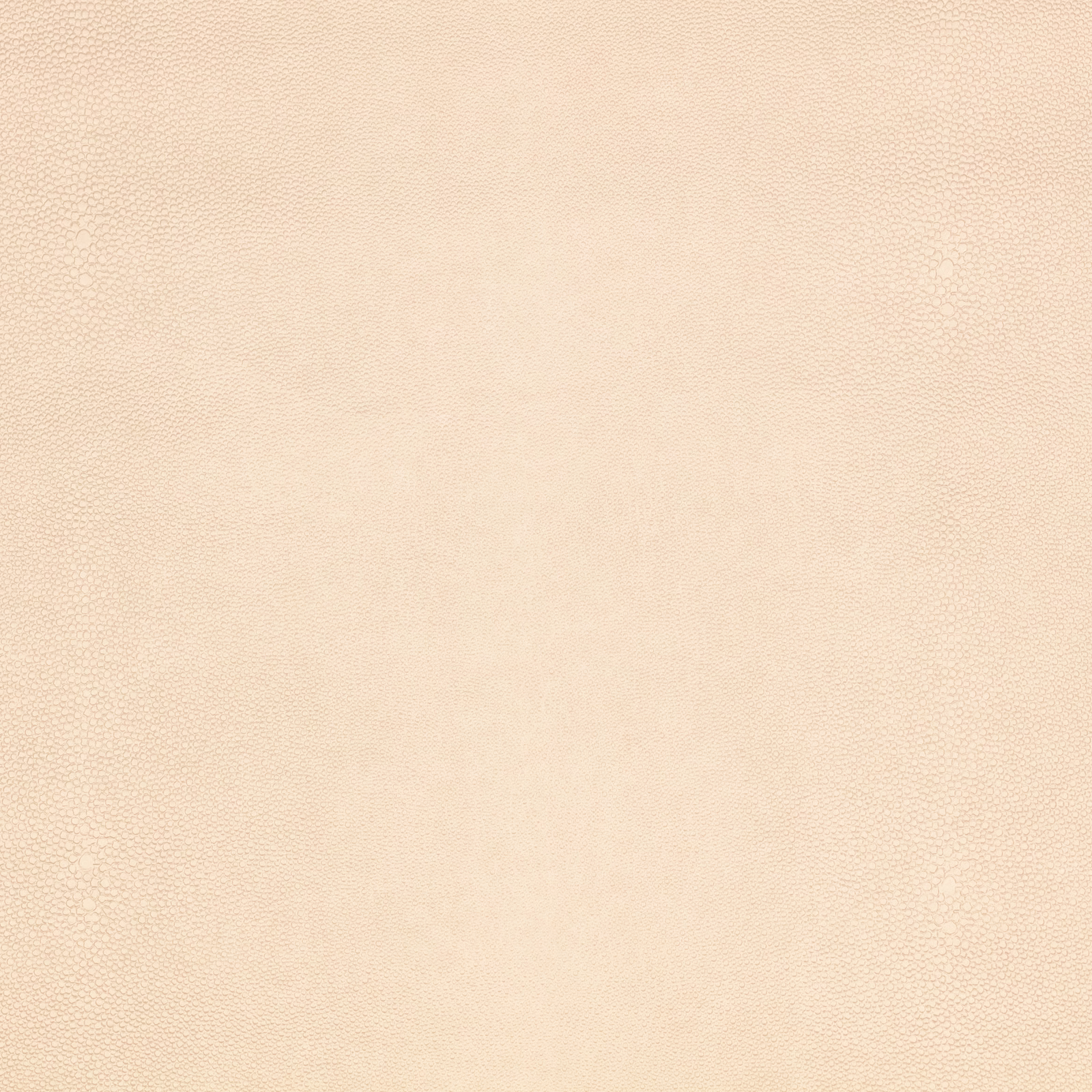Pale pearl cream fabric with a fine, softly pebbled shagreen surface