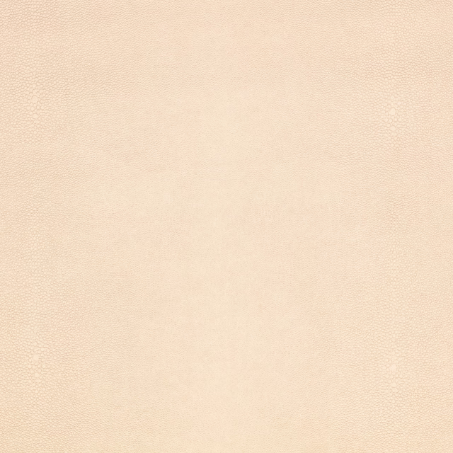 Pale pearl cream fabric with a fine, softly pebbled shagreen surface