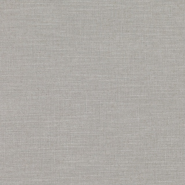 Pale ash-grey plain weave showing a fine, softly crosshatched textile texture