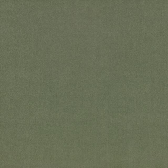 Muted avocado-green plain woven fabric swatch with subtle tonal texture