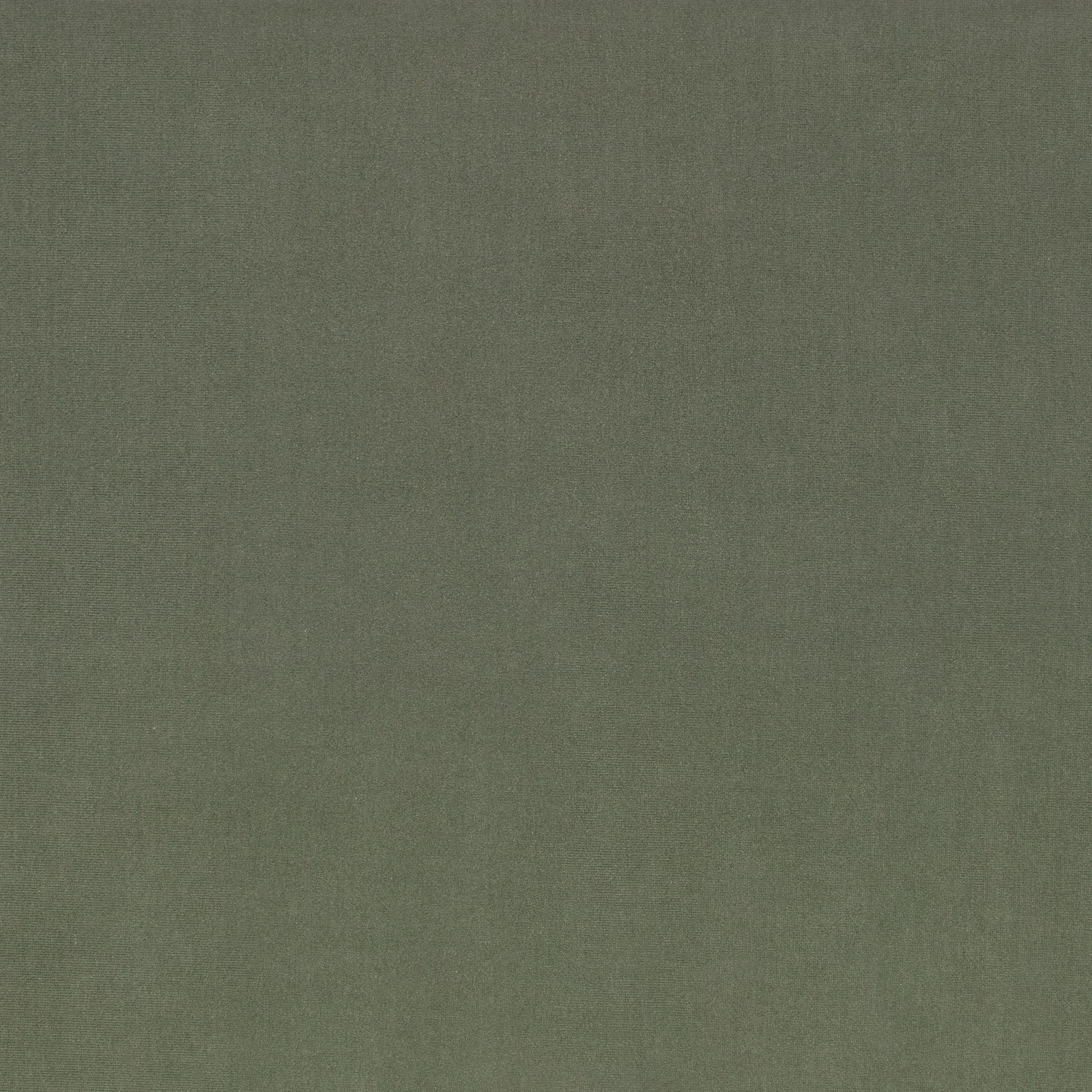 Muted eucalyptus-green fabric with a fine plain weave and softly mottled texture