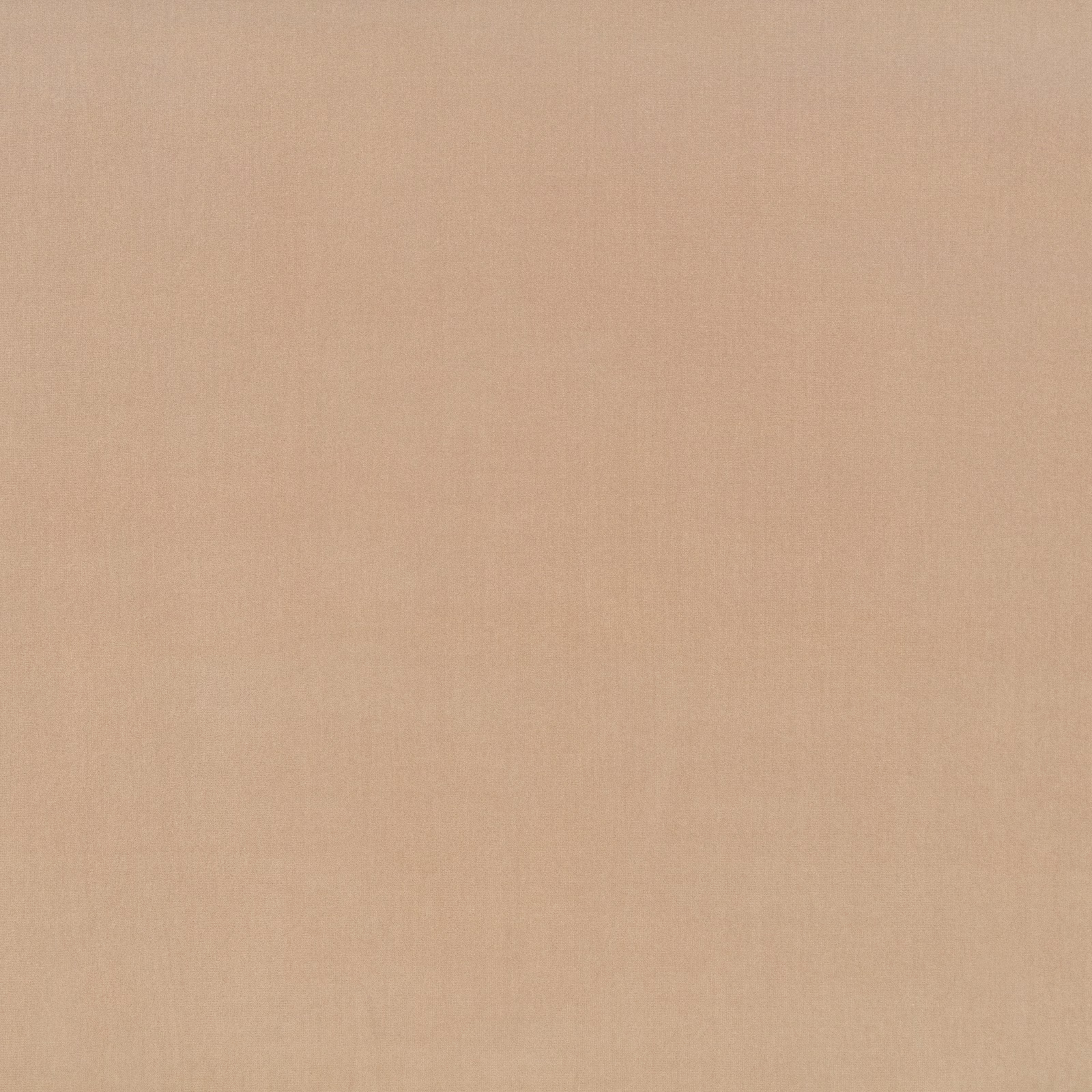 Pale hazel-beige plain weave with a soft peach cast and fine texture