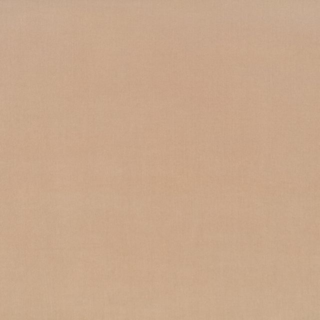 Pale hazel-beige plain weave with a soft peach cast and fine texture