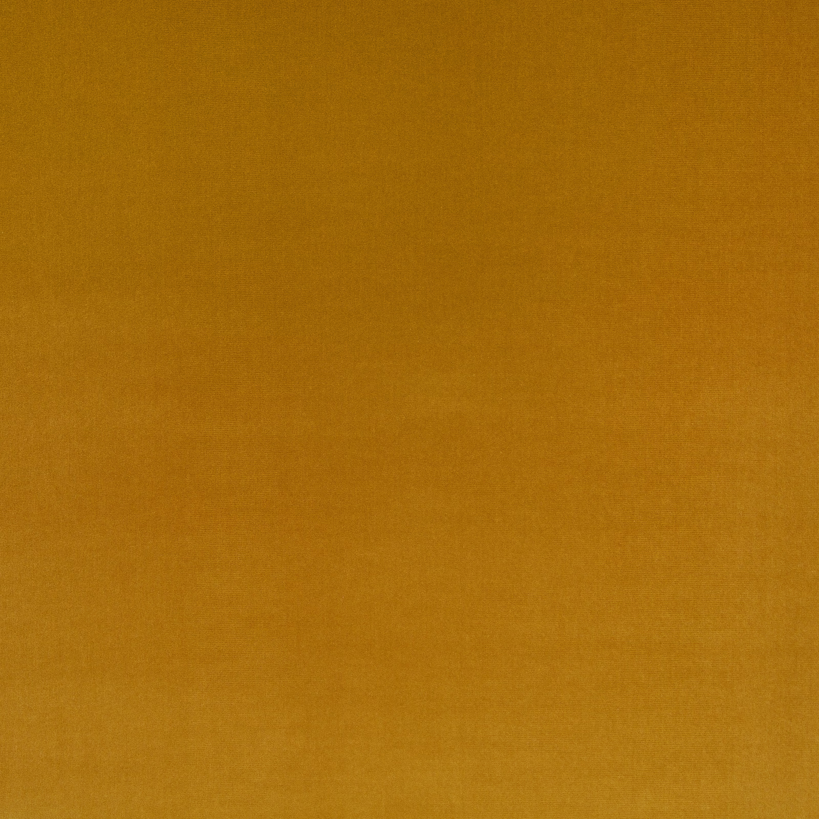 Close-up of warm golden ochre fabric with a subtle plain woven texture