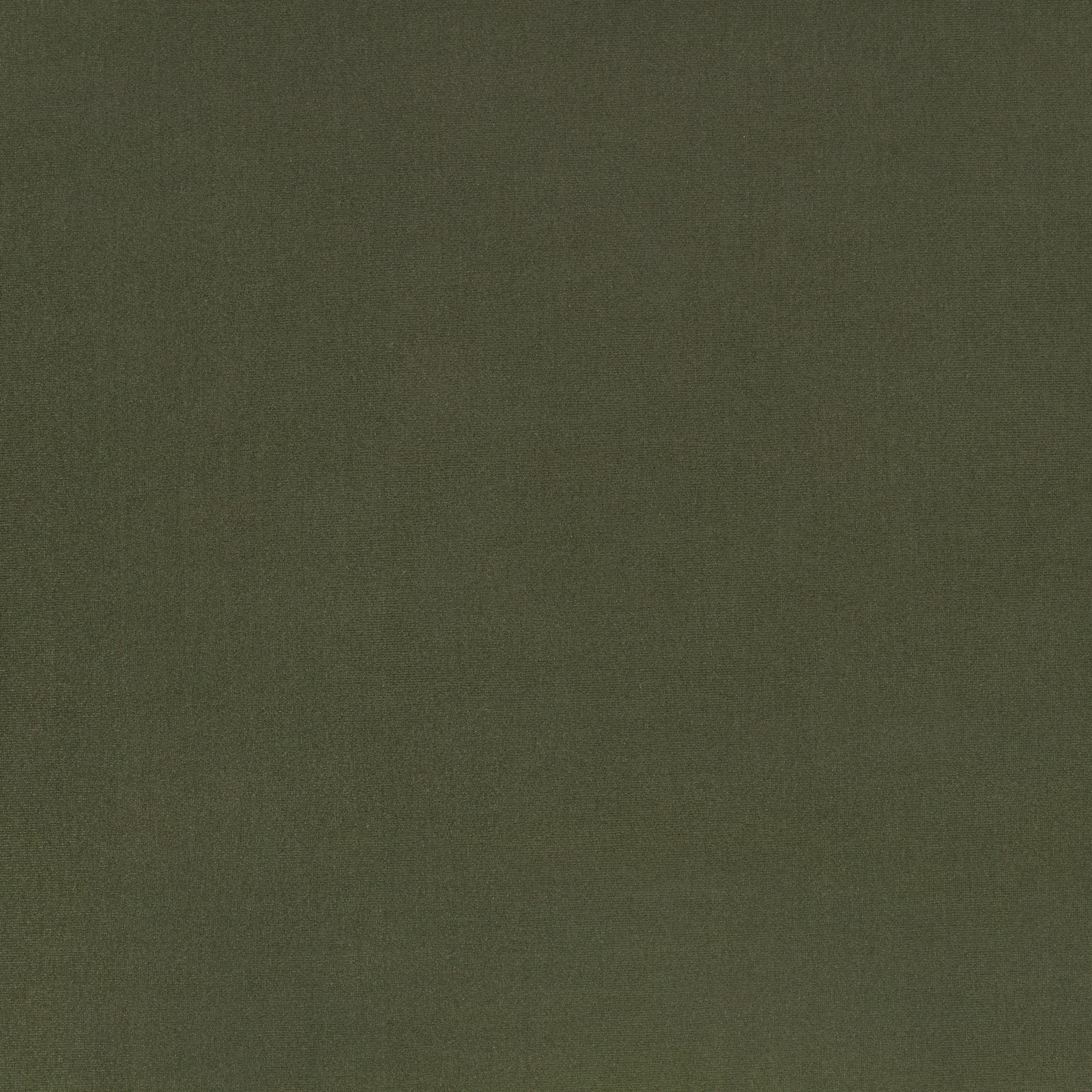 Muted pine-green plain weave with a soft, subtly mottled surface