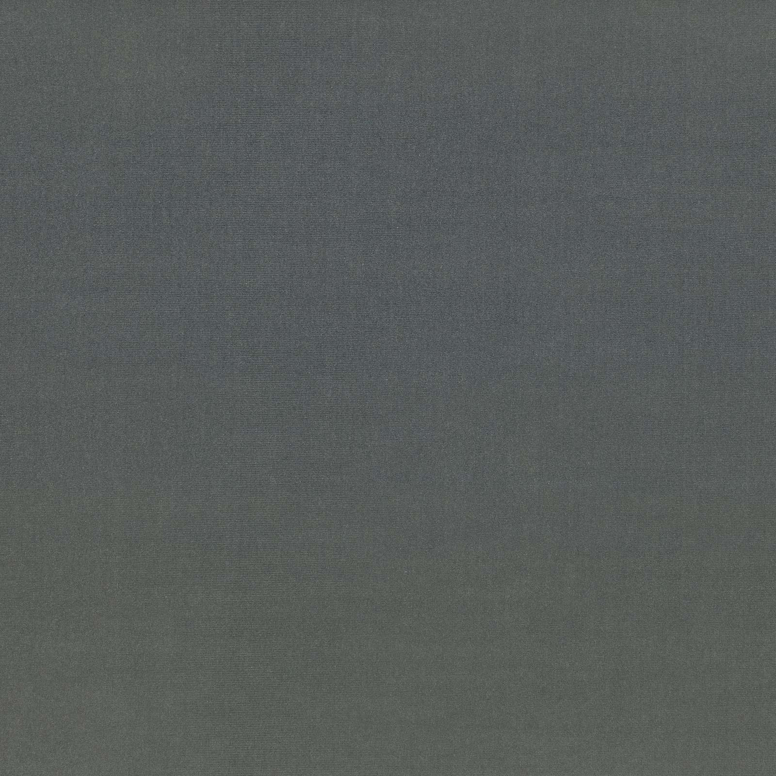 Deep green-grey Ice Seal fabric with a fine, softly mottled plain weave