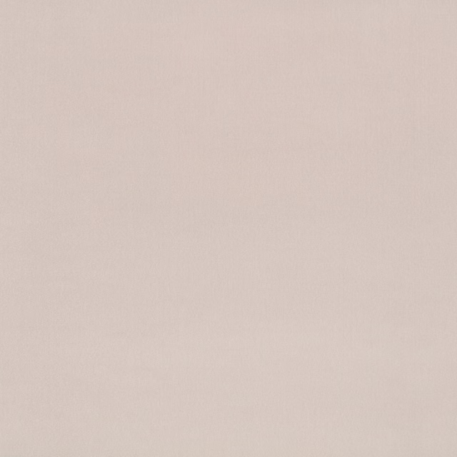 Pale warm-grey textile swatch showing a fine, softly mottled woven surface