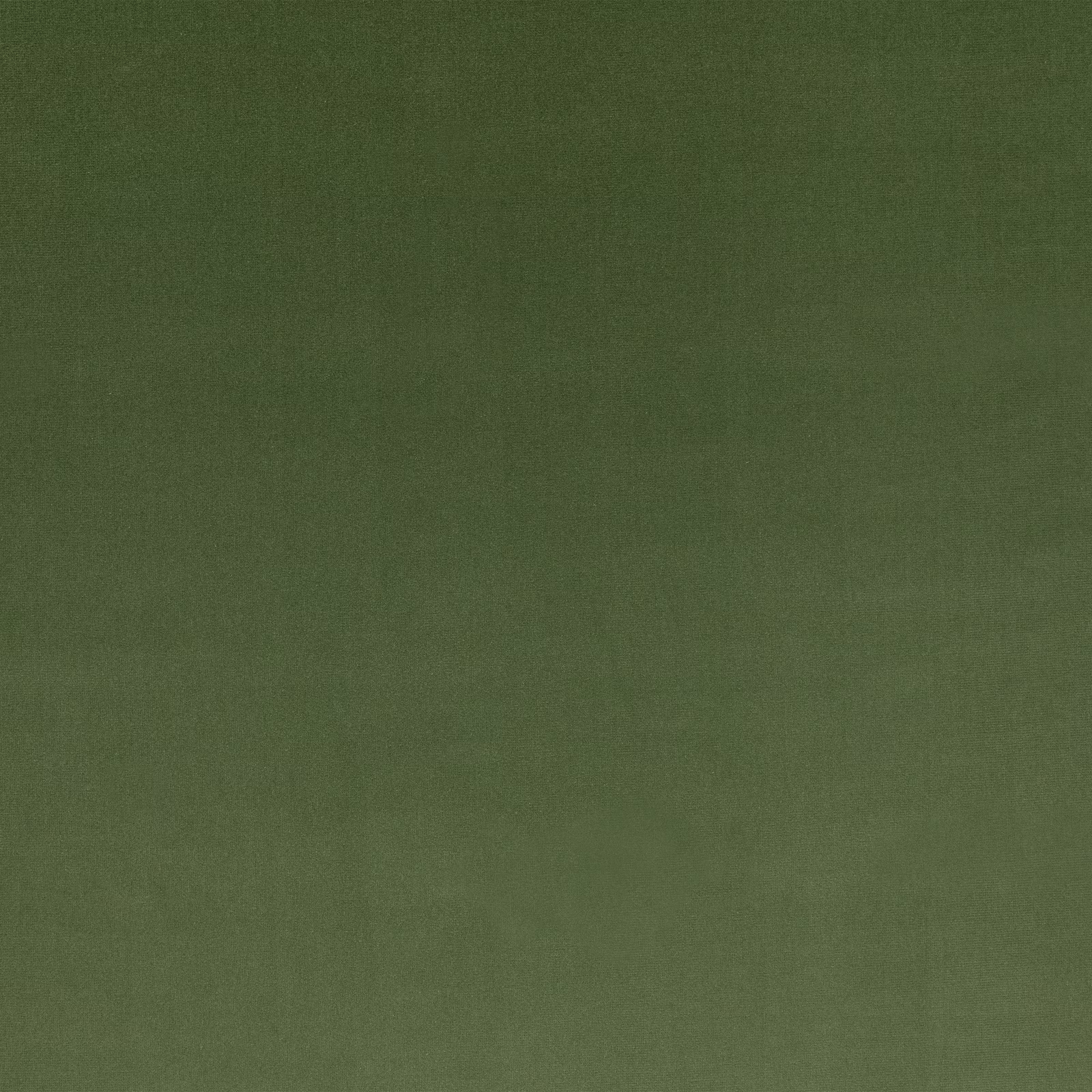 Muted olive-green fabric swatch with a fine, softly varied woven surface