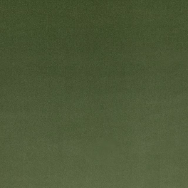 Muted olive-green fabric swatch with a fine, softly varied woven surface