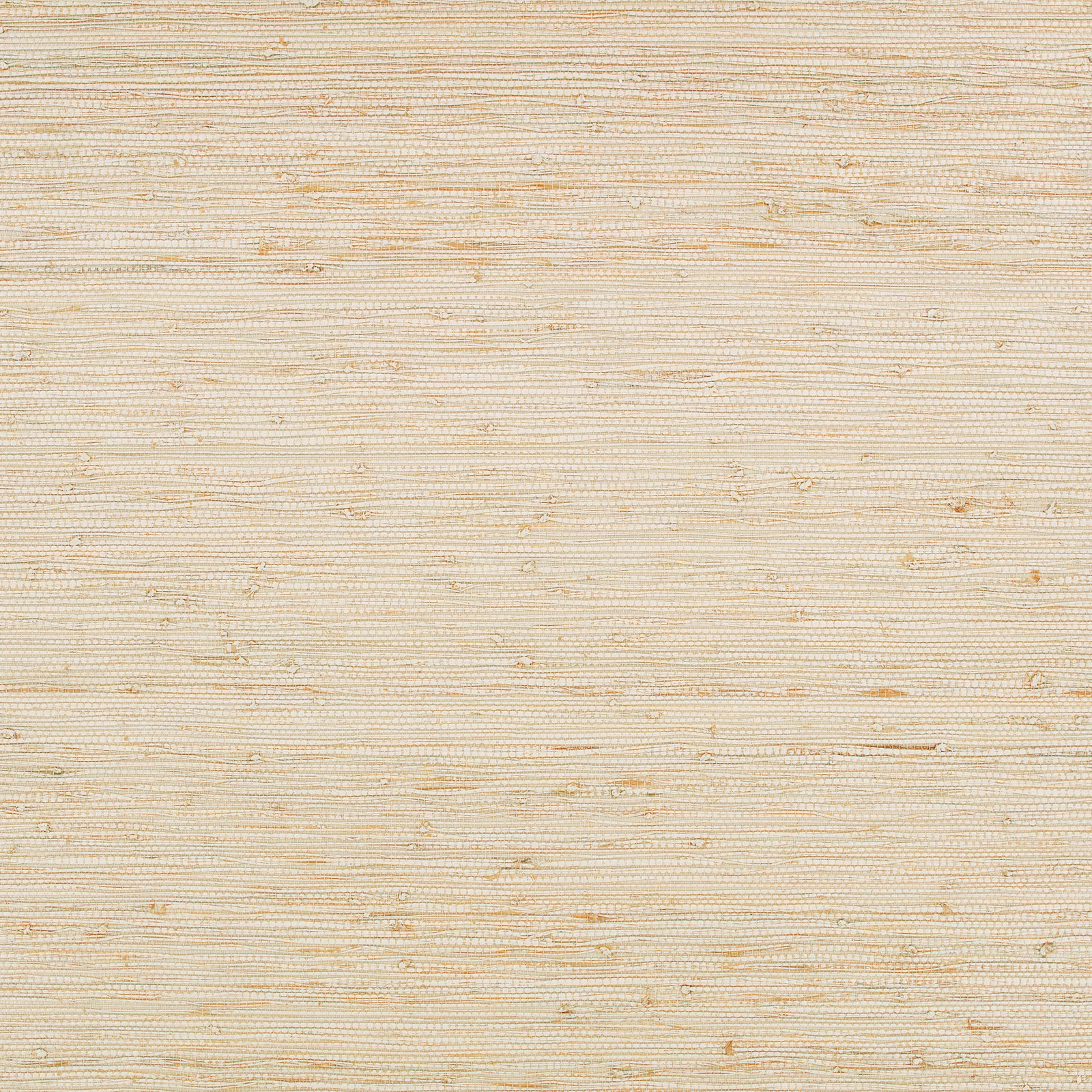 Warm ivory wallpaper with fine horizontal striations and subtle natural flecks