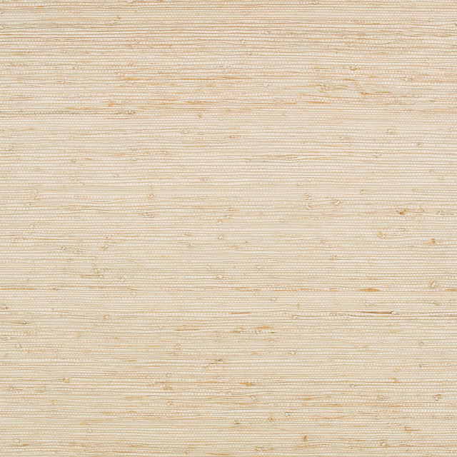Warm ivory wallpaper with fine horizontal striations and subtle natural flecks