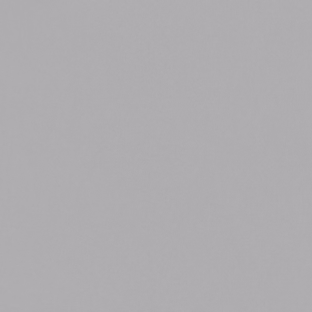 Close-up of Laser Ii Dove showing a pale grey finely textured plain surface