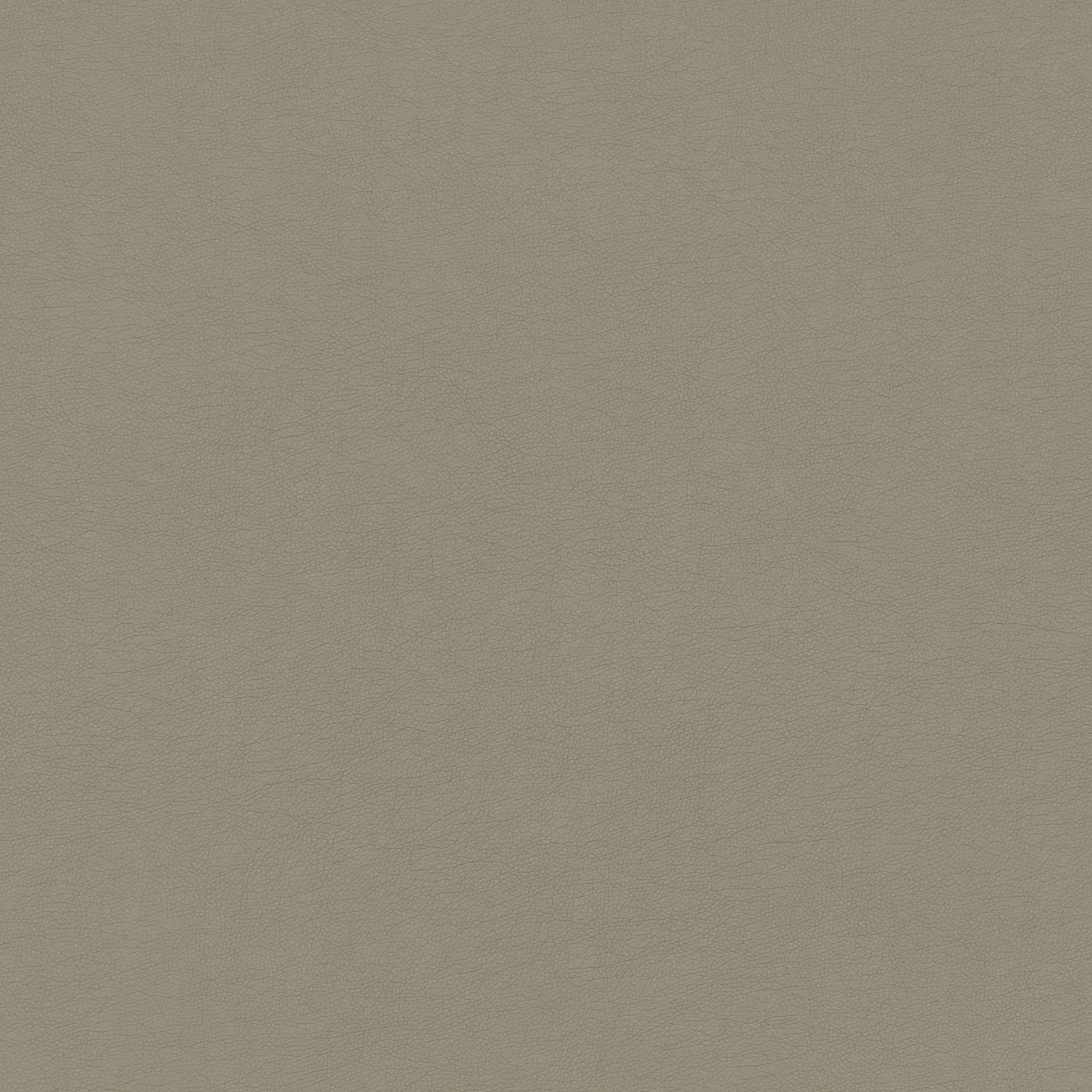 Muted taupe-grey plain weave with subtle metallic sheen and fine horizontal texture