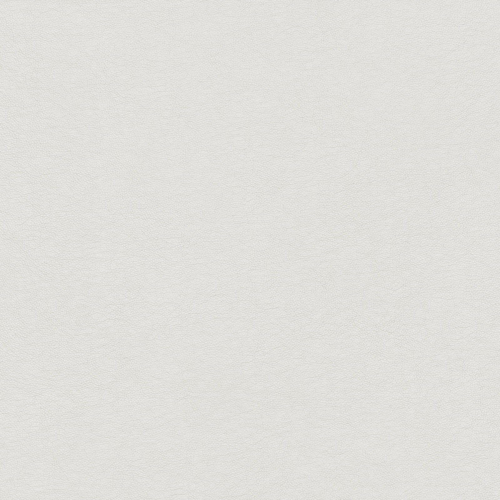 Pale titanium silver-grey fabric with fine woven grain and restrained metallic sheen