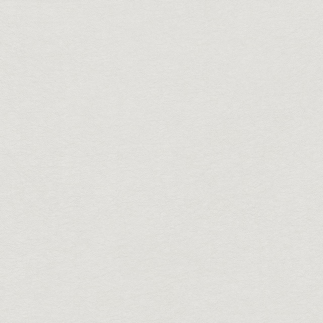 Pale titanium silver-grey fabric with fine woven grain and restrained metallic sheen