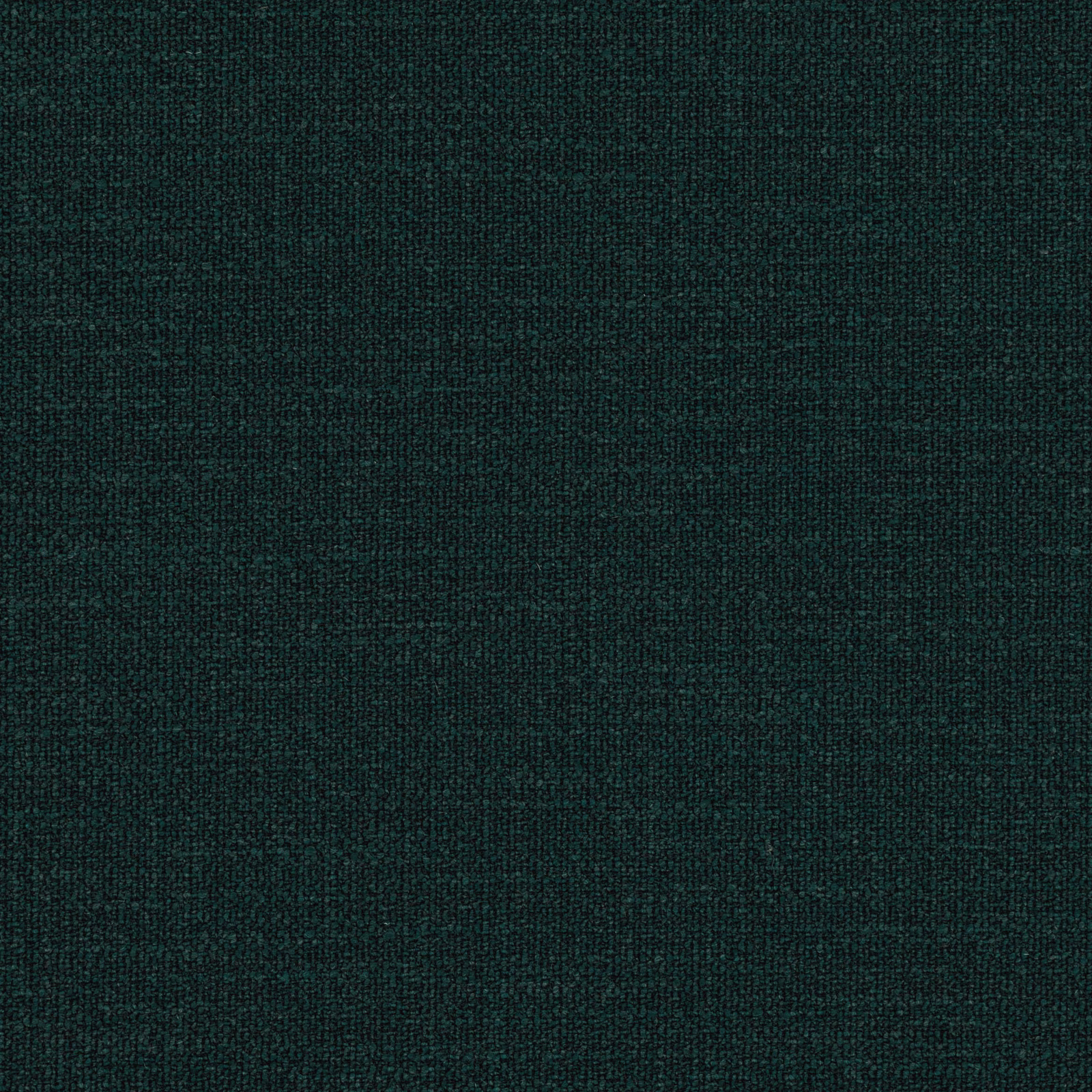 Dark evergreen Loop fabric showing a fine, subtly flecked looped weave
