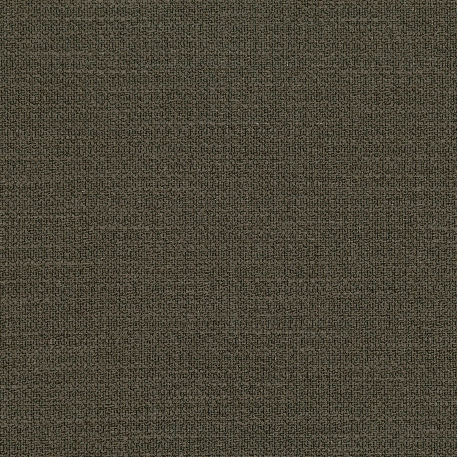 Muted olive-green Loop fabric with a dense, finely mottled woven surface