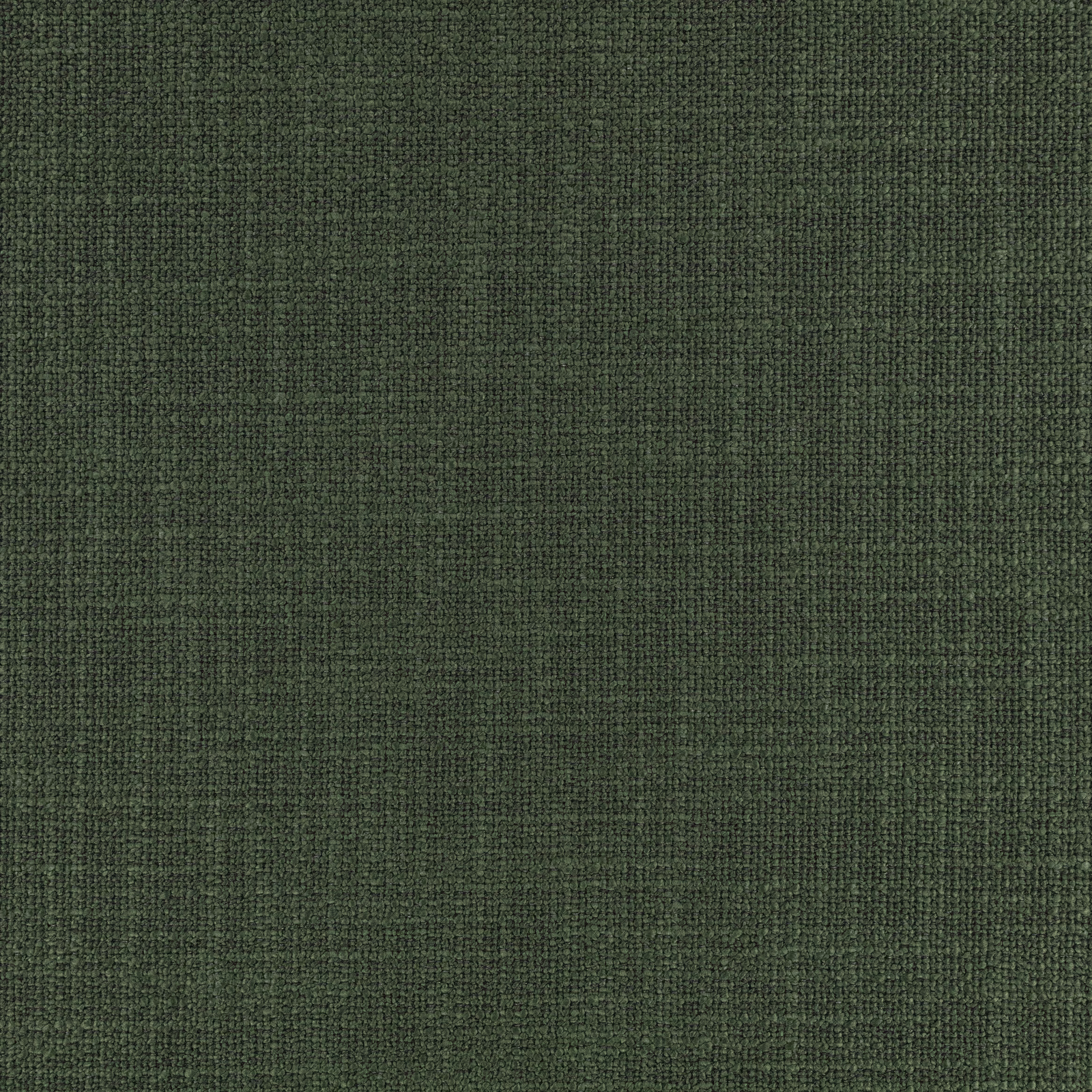 Deep cypress green woven surface with fine vertical striations and subtle tonal flecks