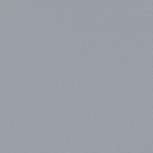 Cool blue-grey plain weave with a softly mottled, subtly textured surface