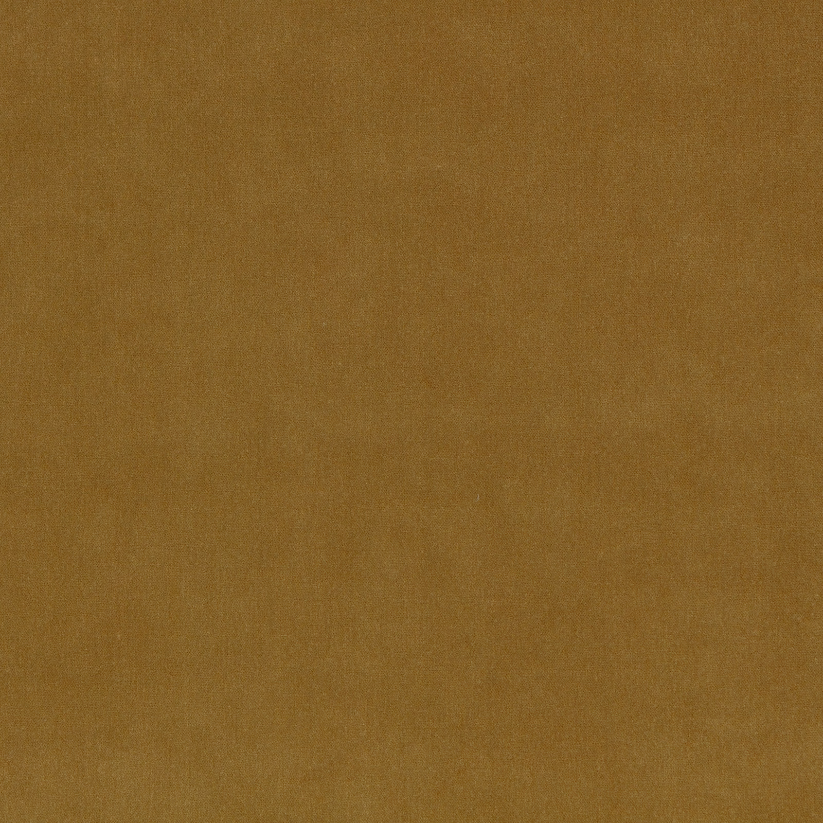Muted ochre-olive chartreuse fabric with soft, subtly mottled velvet-like texture