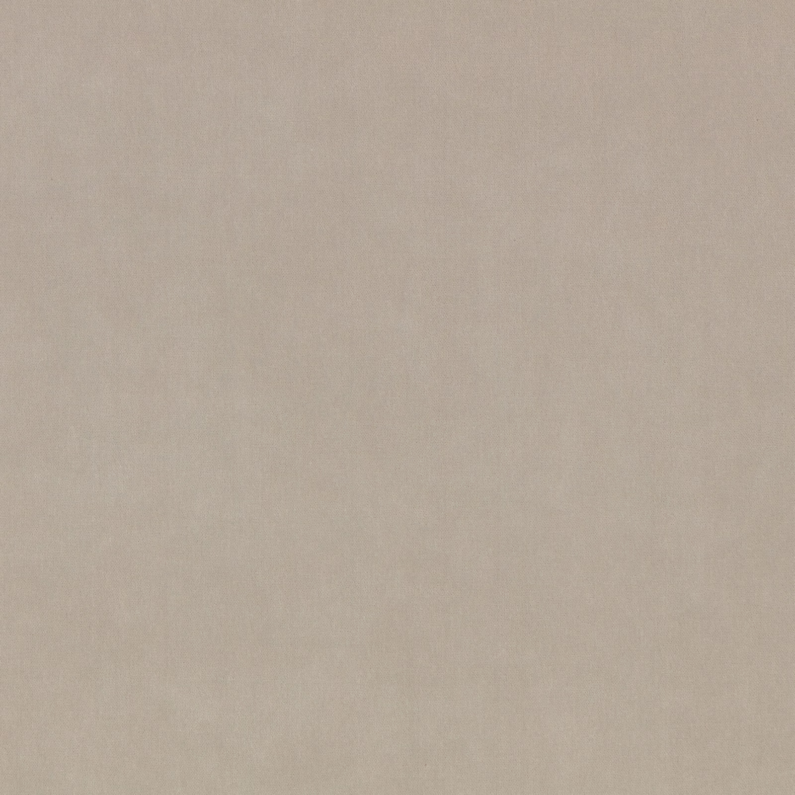 Pale eggshell fabric with a quiet, fine woven texture and matte surface