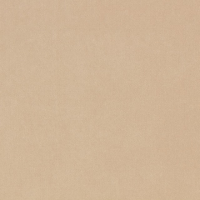 Warm nougat-beige textile with a faintly textured, plain surface