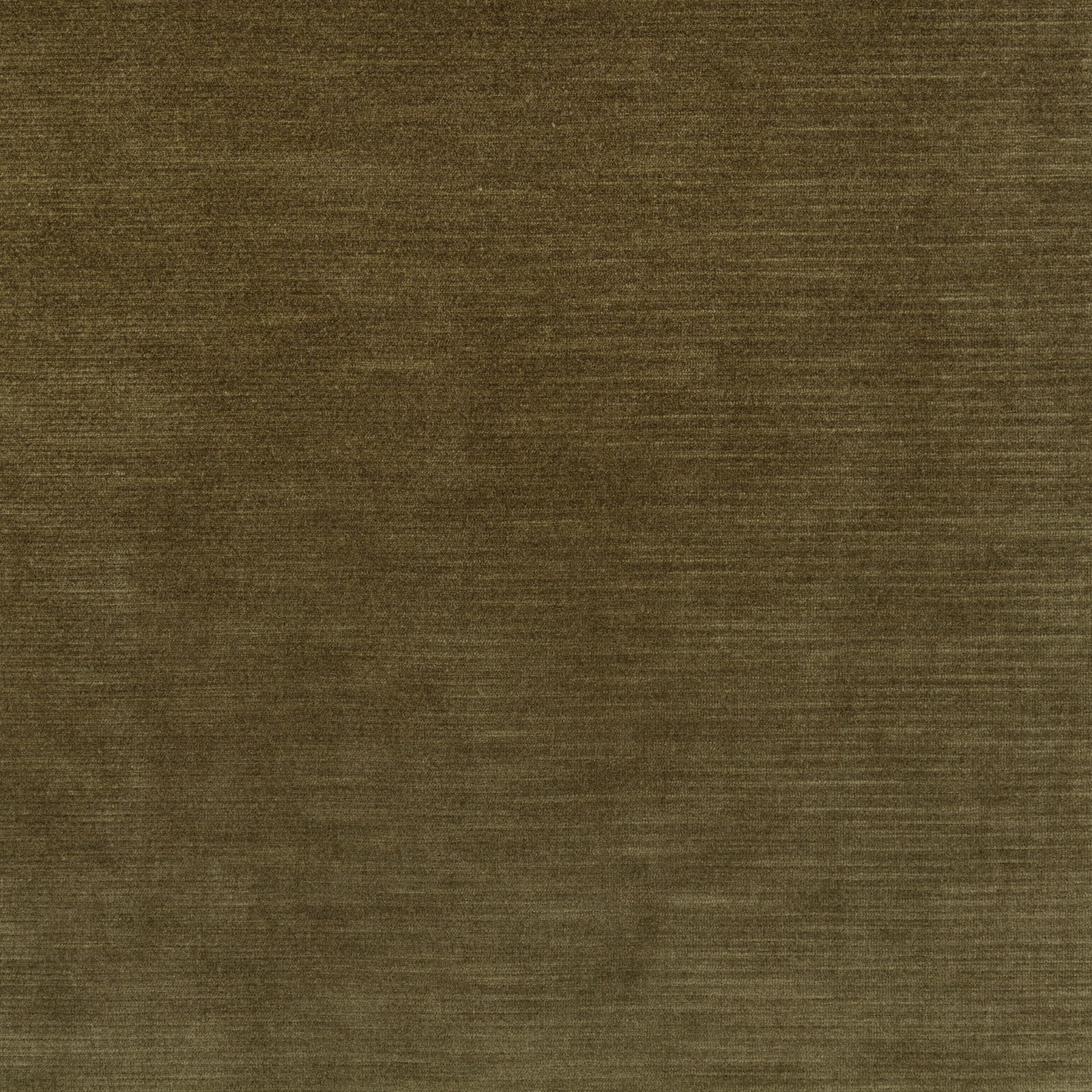 Bay-leaf olive textile swatch with fine horizontal striations and softly mottled texture
