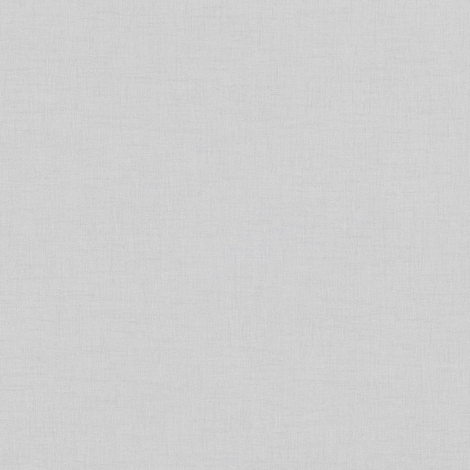 Pale silver-grey plain weave with a softly mottled, light-catching surface